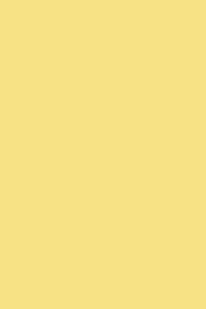 Dayroom Yellow