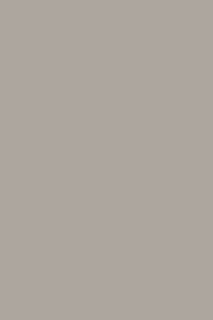Pale French Gray Eggshell